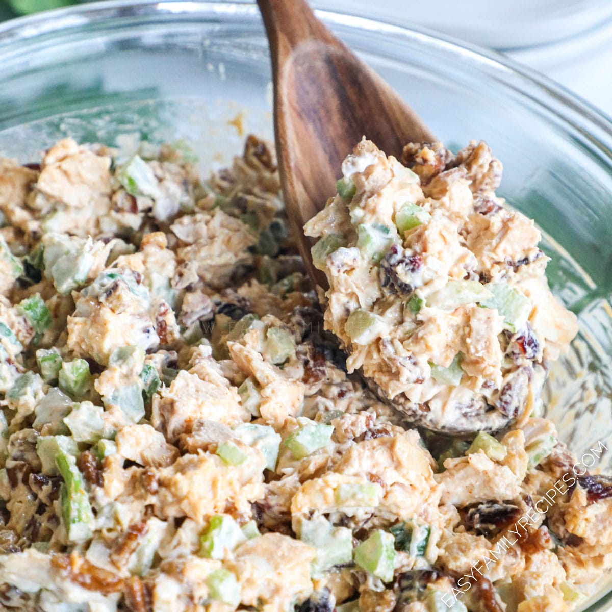 Cranberry Pecan Chicken Salad