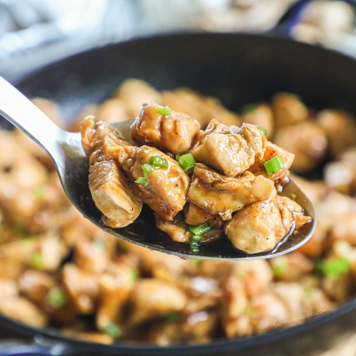 Easy Teriyaki Chicken Bites